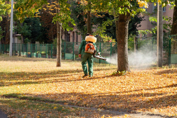 Professional Pest Control in Poplarville, MS